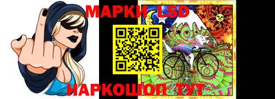 крисы Новокубанск